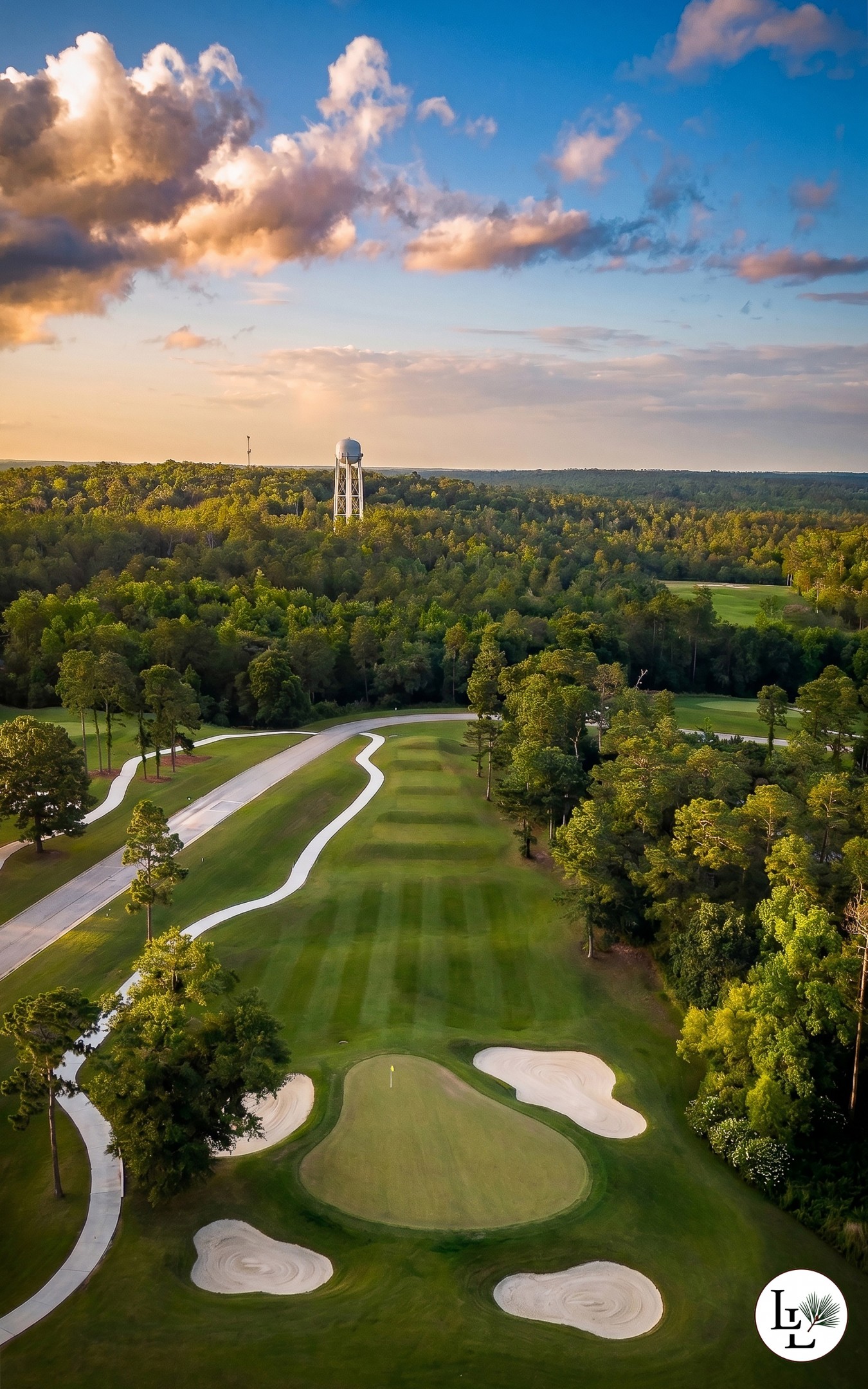 A tee shot framed by mature pines at Longleaf